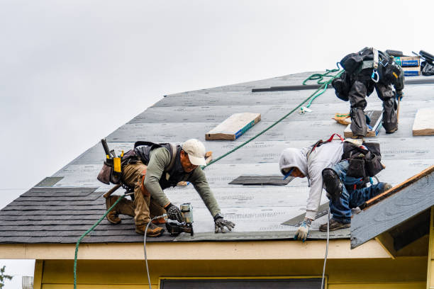 Professional Roofing technician working in Briggsdale, CO